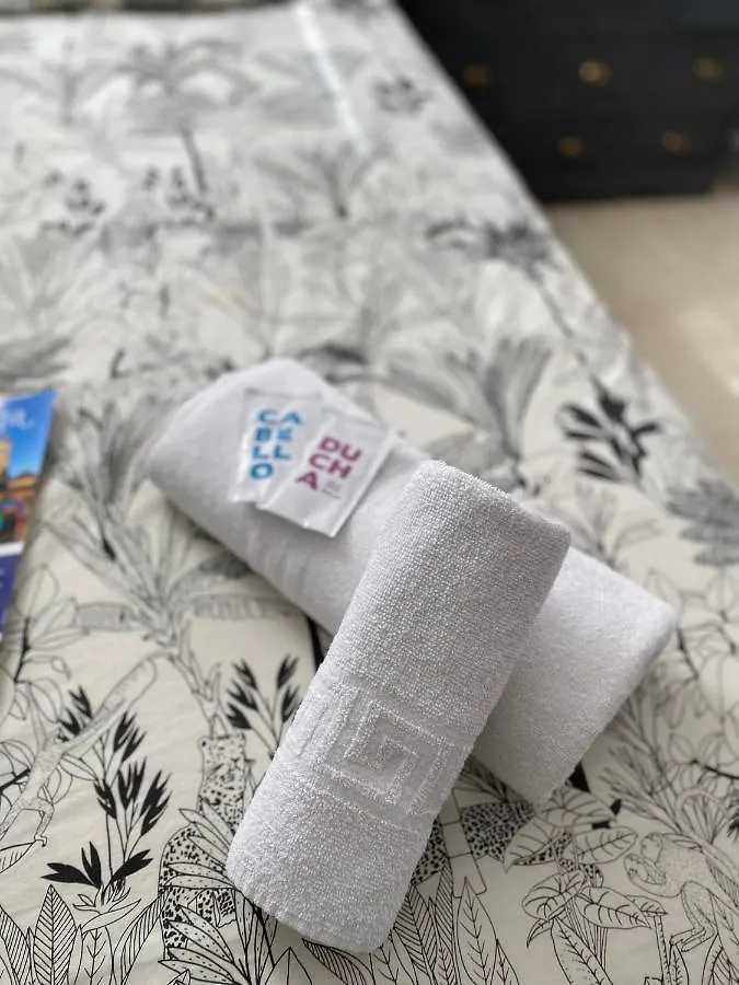民宿 Lunaroom Center & Quiet Guesthouse 马拉加 西班牙